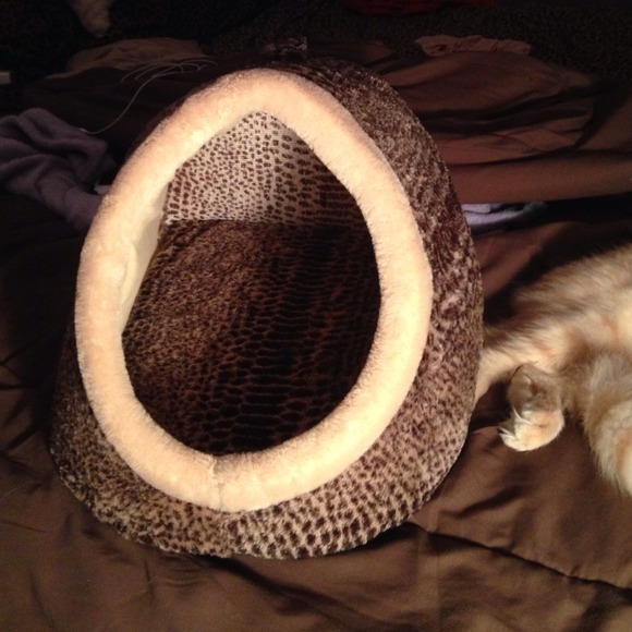 Cat Bed