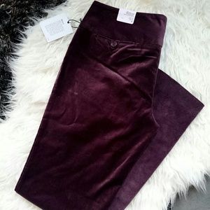 NWT Express burgundy color velvet pants