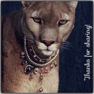 🎀Thank You Ladies🎀