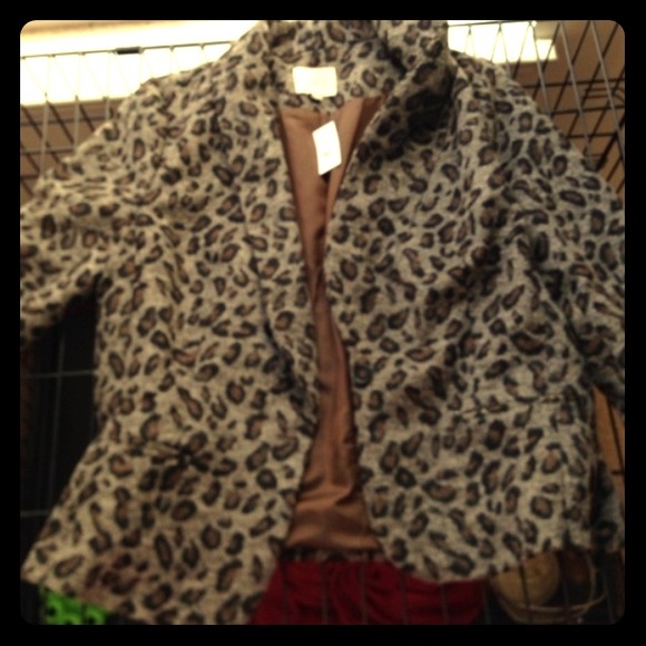 Ann Taylor Loft Blazer