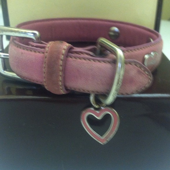 Pre loved coach dog collar. Size xs(8.5-10)