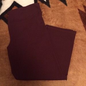 AE Performance Cropped Pants