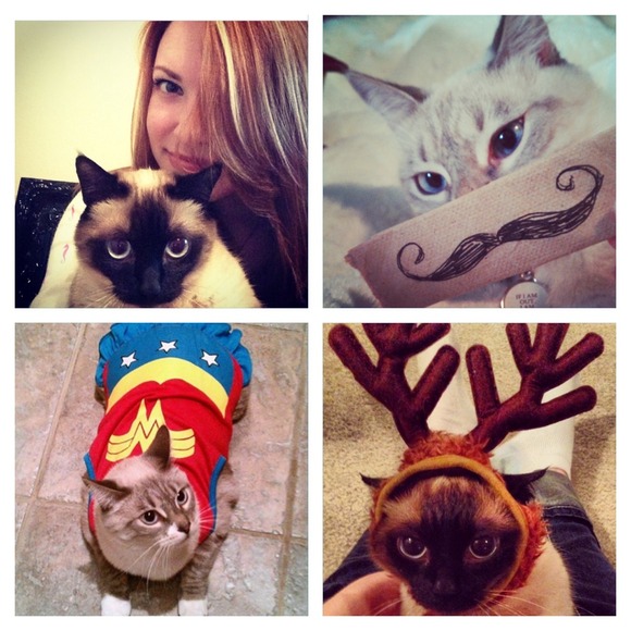 Meet your seller! 🎀😻🎀 - Picture 2 of 3