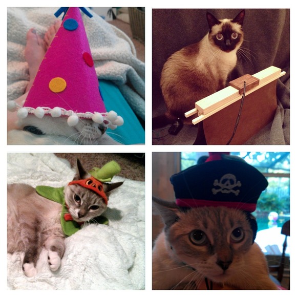 Meet your seller! 🎀😻🎀 - Picture 3 of 3