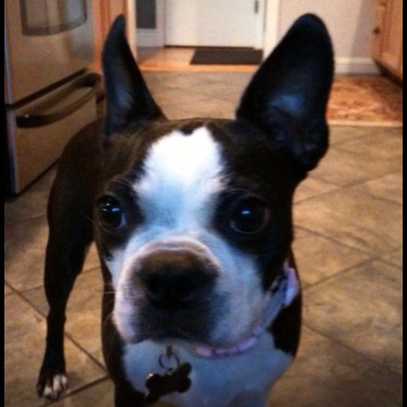 Meet Your Seller / Buyer! - Picture 4 of 5