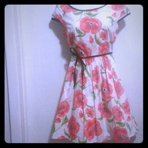 Summer/ White/Red Floral/Cotton dress