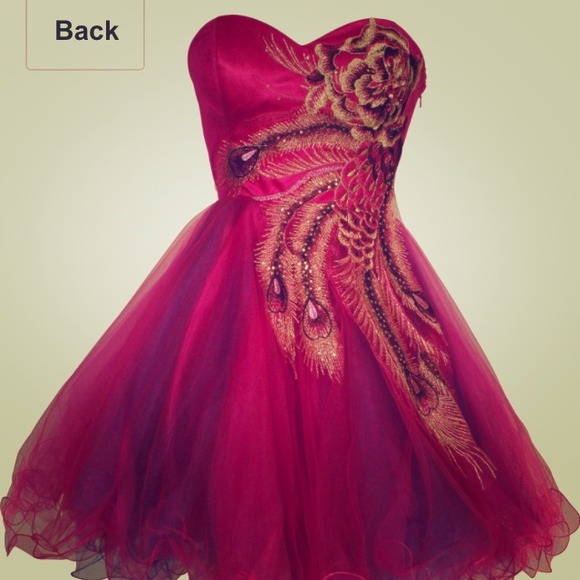Dresses & Skirts - Peacock Dress