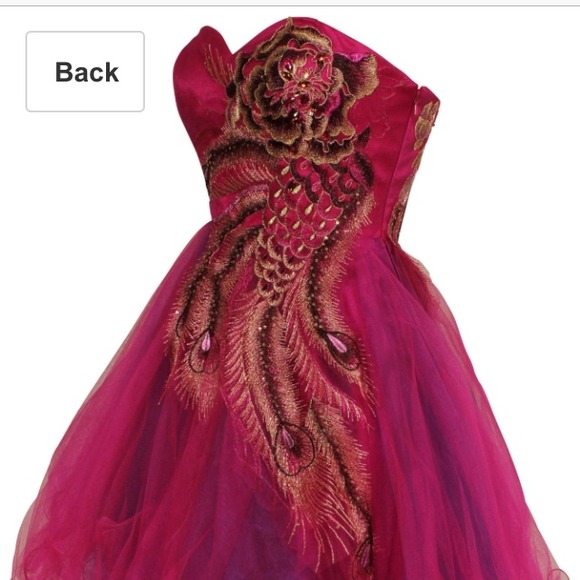 Peacock Dress - Picture 2 of 4