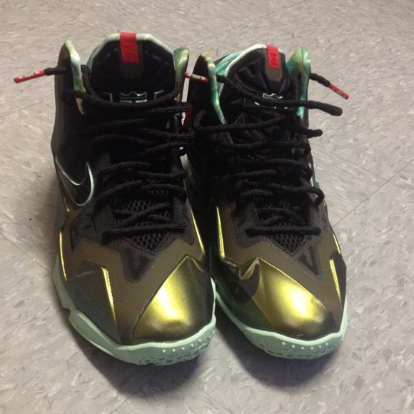 LeBron 11's