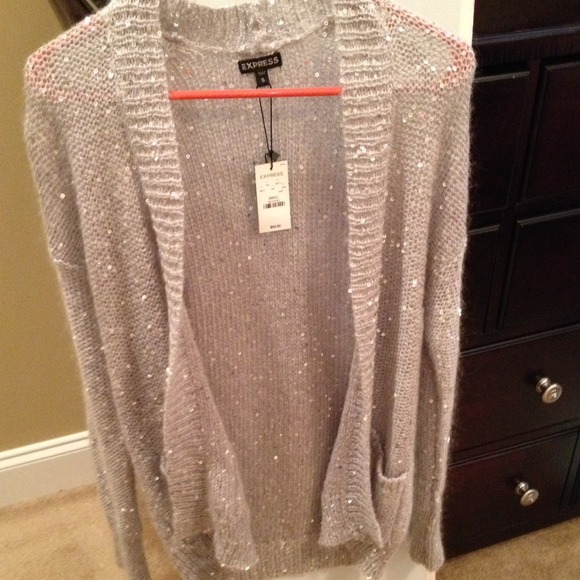 Sparkly gray sweater from Express. NWT
