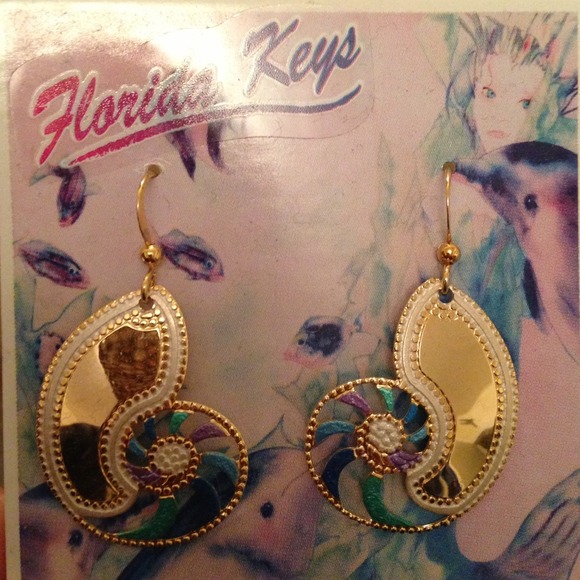 Seashell earrings