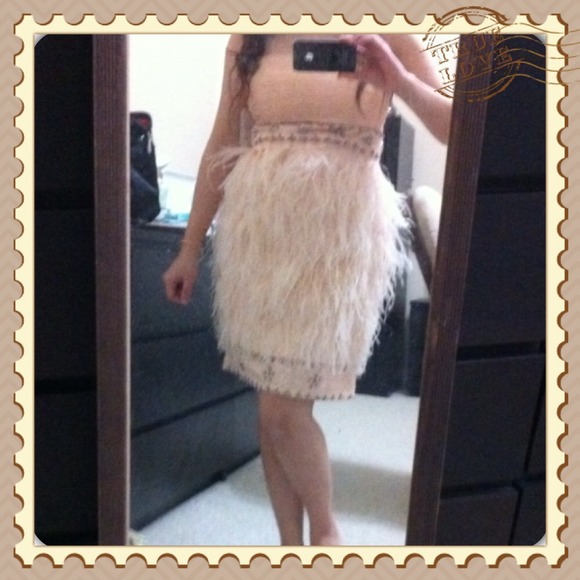 Sue Wong light pink ostrich feather strapless - Picture 1 of 3