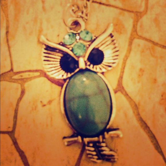Silver & Turquoise owl pendant necklace