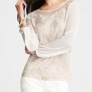 SOLD  NWT Ann Taylor embroidered floral lace top