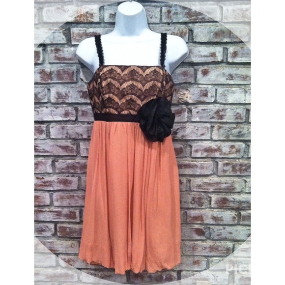 HOST PICK 3/29 Silk Pink Lace Dress - Picture 1 of 3