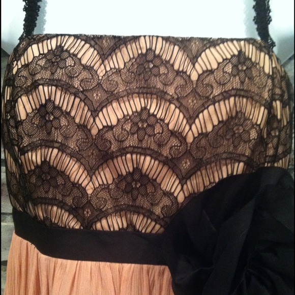 HOST PICK 3/29 Silk Pink Lace Dress - Picture 2 of 3