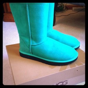teal uggs