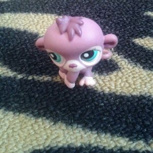 Monkey Little Pet Shop (from daughter?) rare