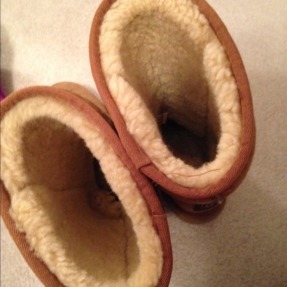 chestnut uggs