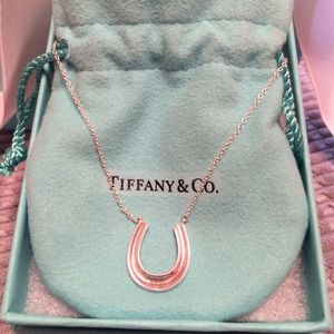 Authentic Tiffany & Co Silver HorseShoe Necklace