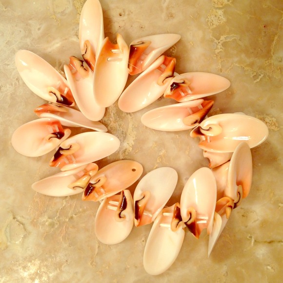 Brand new shell bracelet!