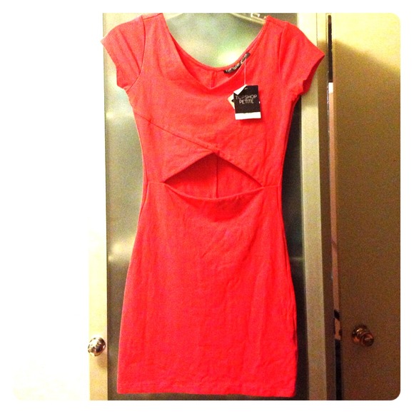 ✨NWT TopShop petite
