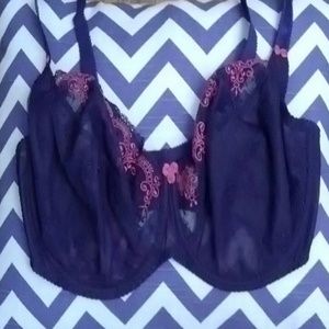 Curvy Kate Bra *BRAND NEW!*