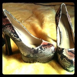 Snake skin Pumps