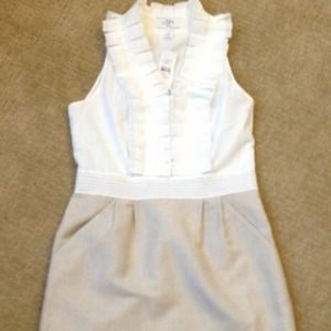 REDUCED PRICE 📣Ann Taylor Loft Twofer Dress