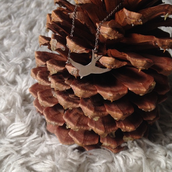 Sold in Bundle ✨ Sparrow Necklace