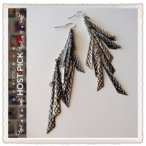 Silver & Dark Gray Earrings