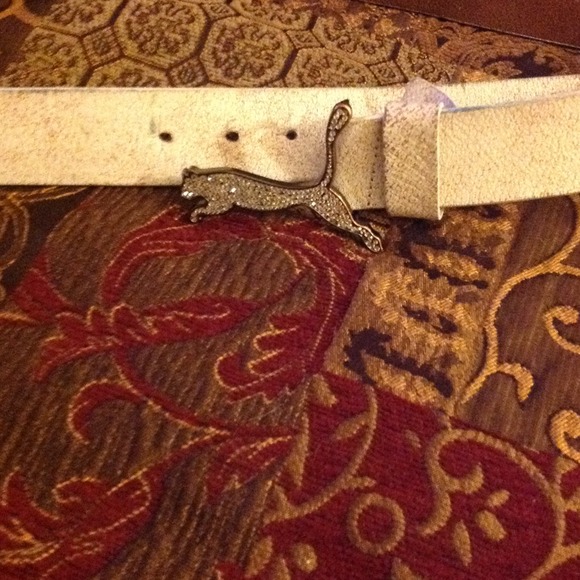 Puma belt
