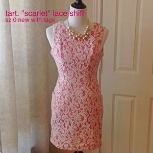 NWT tart. "scarlet" lace shift. size 0. pockets!