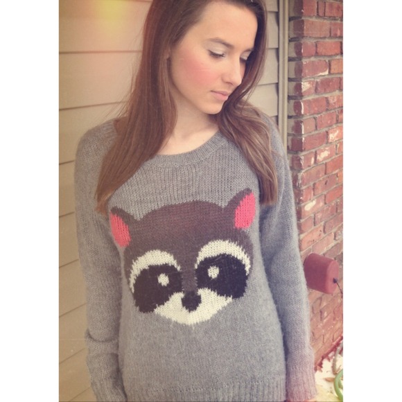 Gray sweater with Raccoon :)