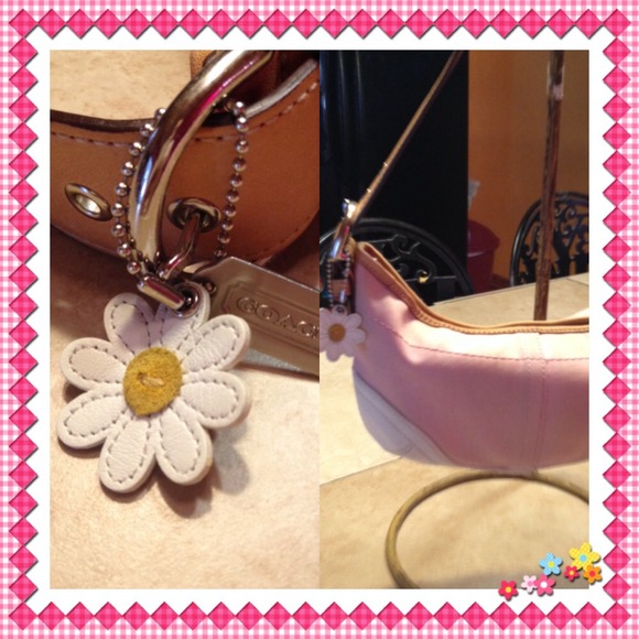 Coach - Picture 2 of 4