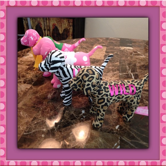 Victoria Secret Dogs