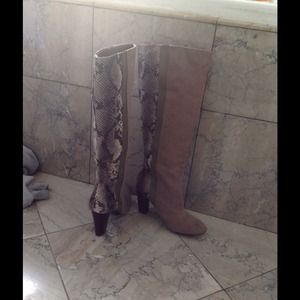 Snakeskin suede boots for ms. Amber