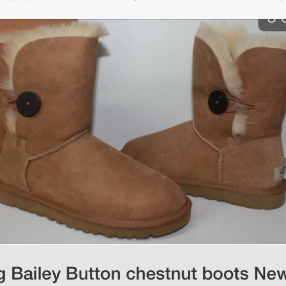 looking for these!🙏