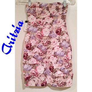 Floral Aritzia Dress