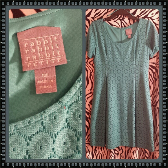 Dresses & Skirts - *** FLASH SALE ****     Rabbit Peter Lace Dress