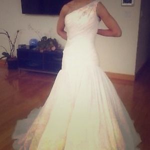 Pronovias Park wedding dress