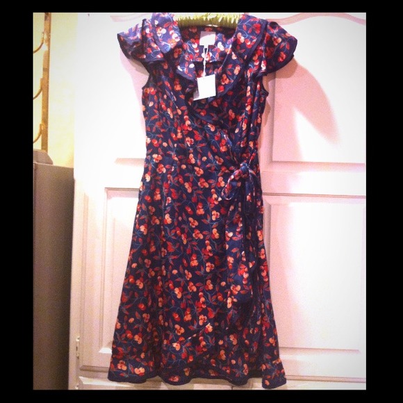 Anthropologie DRESS