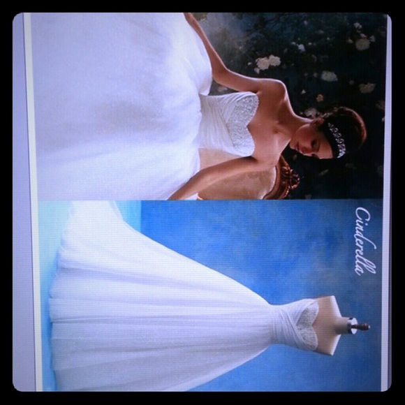 Alfred Angelo Cinderella #205 wedding gown.