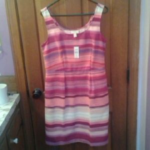 Beautiful, flattering Loft dress