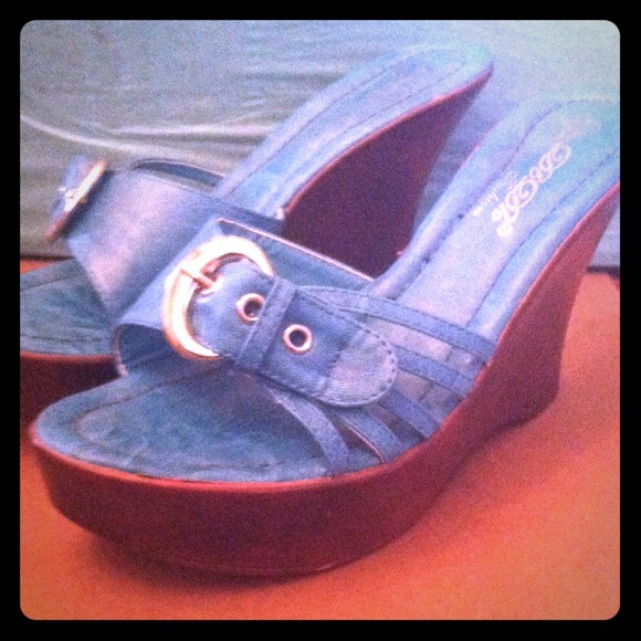 Blue wedges