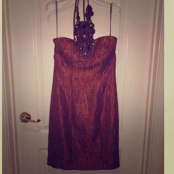 MUSE for Boston Proper cocktail dress!