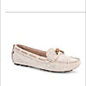 Ugg Roni cream style shoes