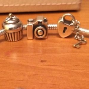 Pandora Charms