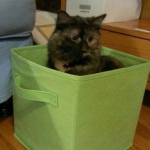 Bundle for Hydrogirl