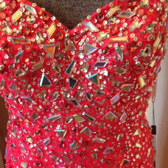 16W New Night Moves Watermelon Dress - Picture 3 of 4